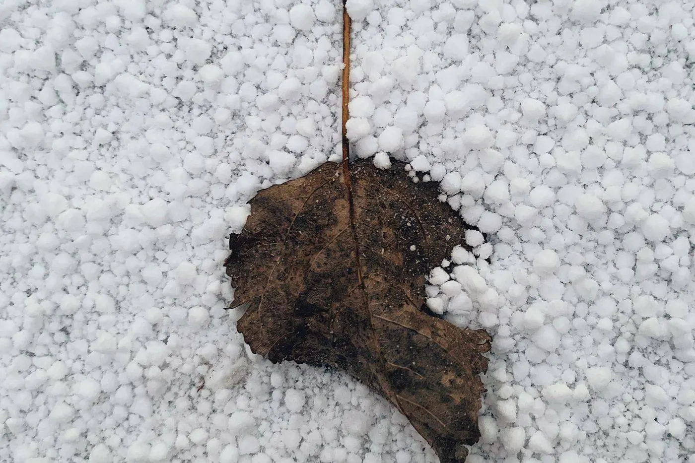 Close-up of hail damage dents and bruising on asphalt roof shingles